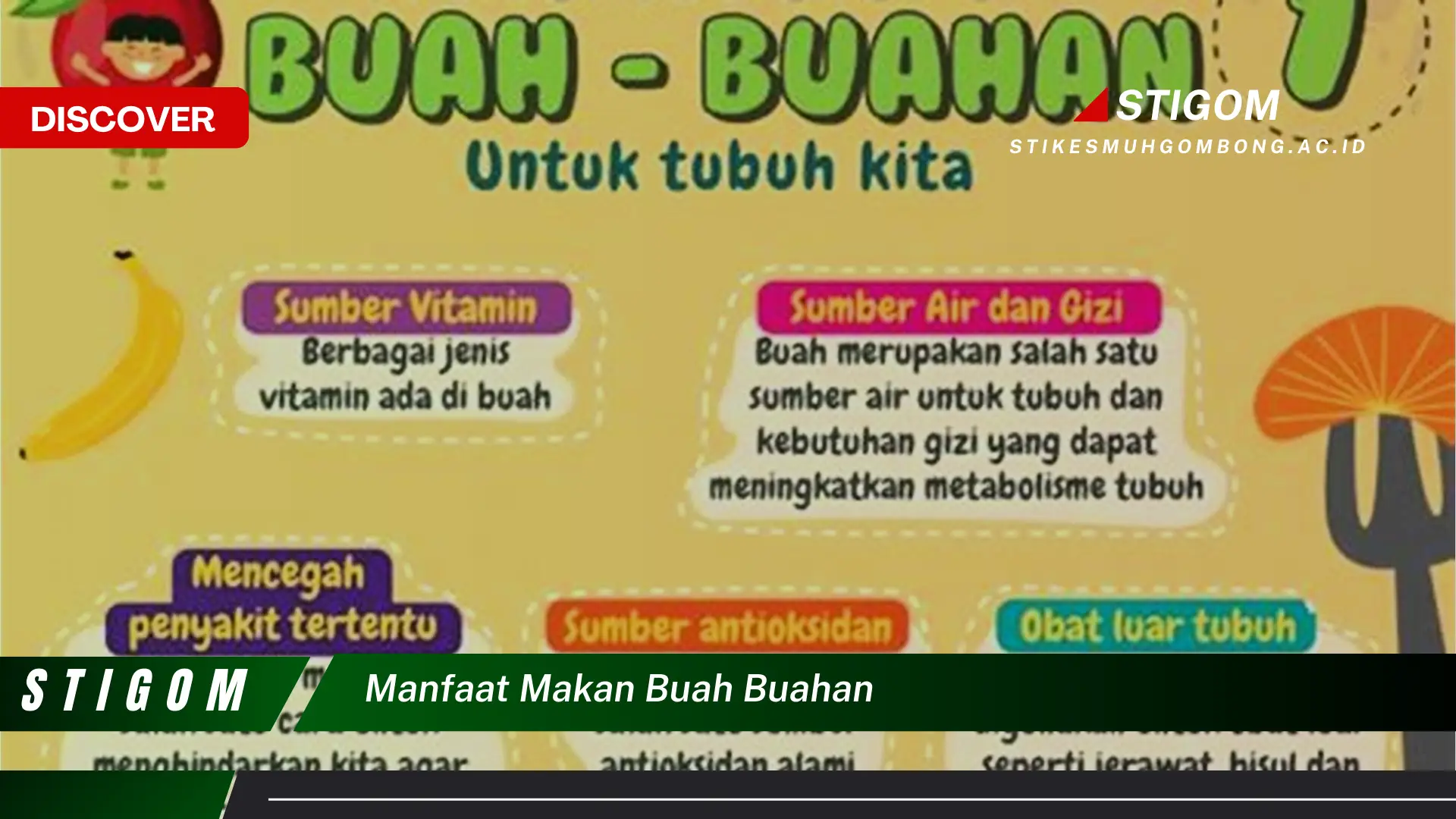 Ketahui 8 Manfaat Makan Buah Buahan untuk Kesehatan Tubuh Anda