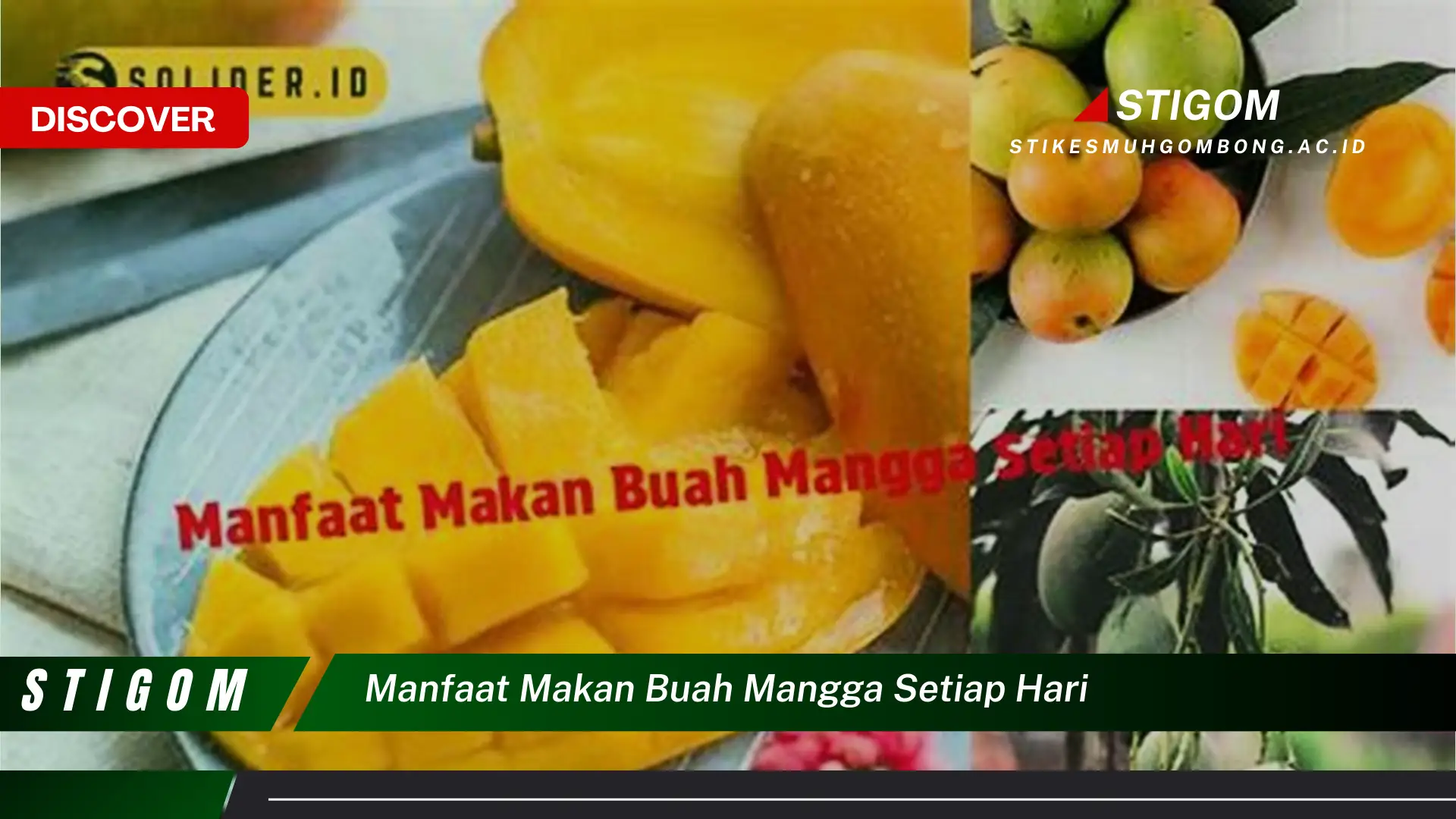 Ketahui 10 Manfaat Makan Buah Mangga Setiap Hari untuk Kesehatan Tubuh Anda