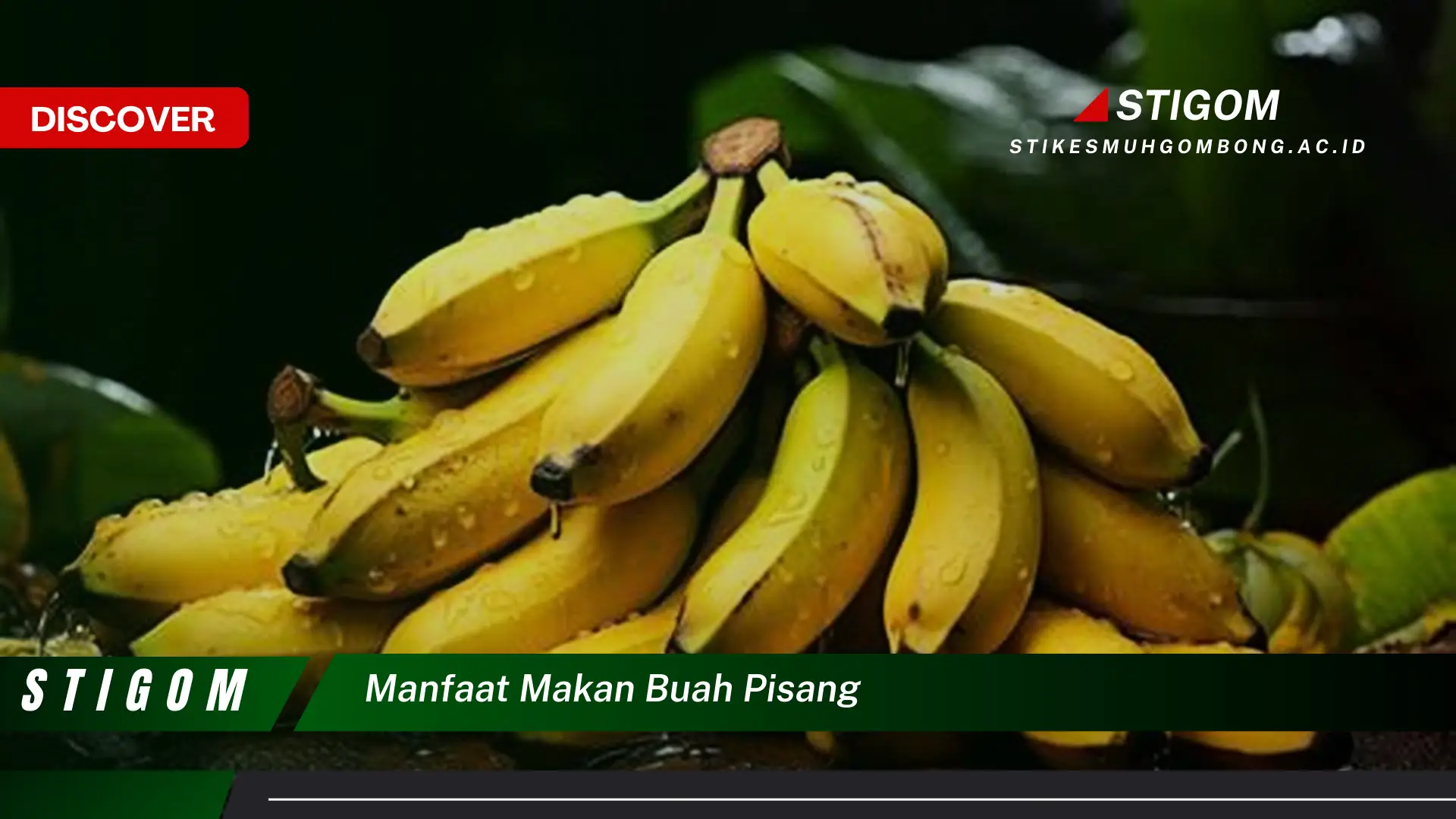 Ketahui 10 Manfaat Makan Buah Pisang untuk Kesehatan Tubuh Anda