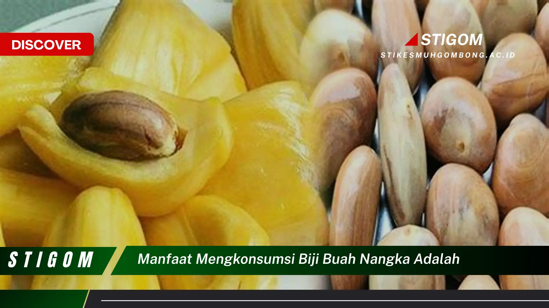 Ketahui 10 Manfaat Mengkonsumsi Biji Buah Nangka untuk Kesehatan Anda